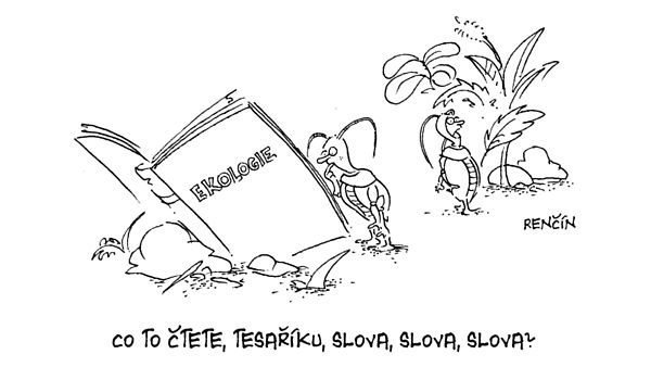 Slov, slova, slova...